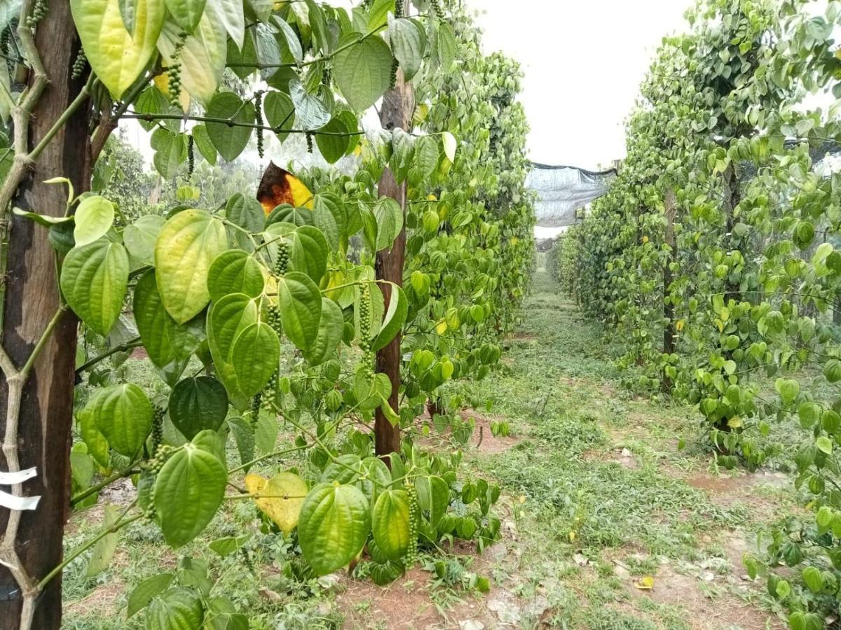 Ratanakiri Farmhouse & Trekking Banlung Exteriör bild