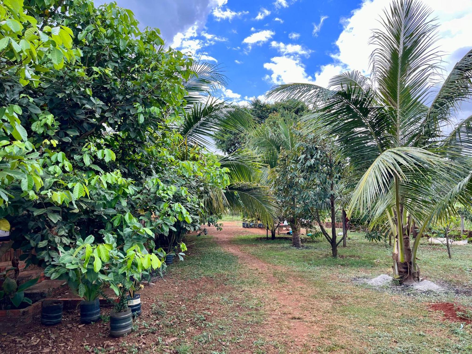 Ratanakiri Farmhouse & Trekking Banlung Exteriör bild