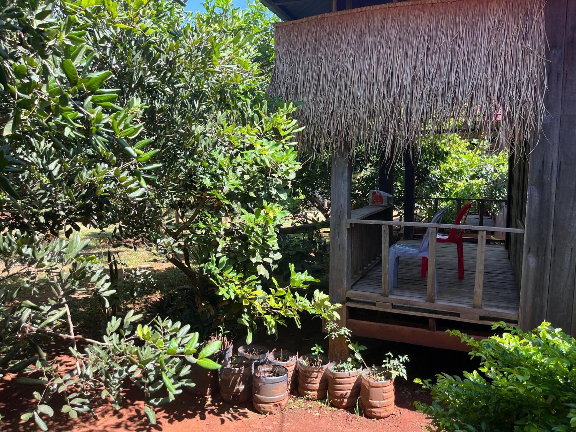 Ratanakiri Farmhouse & Trekking Banlung Exteriör bild