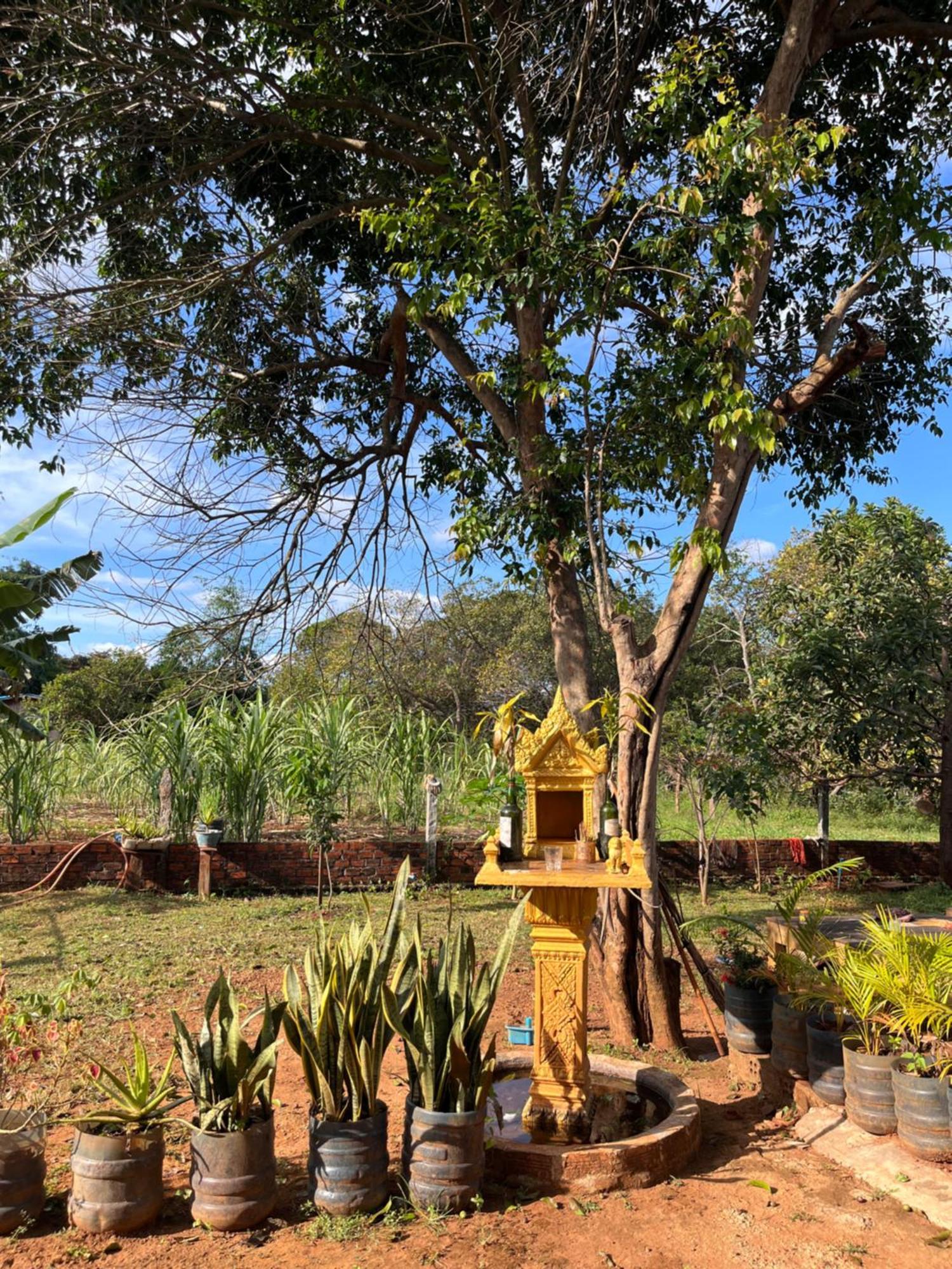Ratanakiri Farmhouse & Trekking Banlung Exteriör bild
