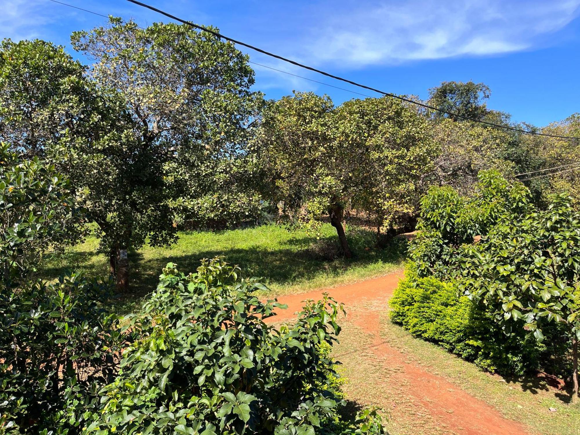 Ratanakiri Farmhouse & Trekking Banlung Exteriör bild